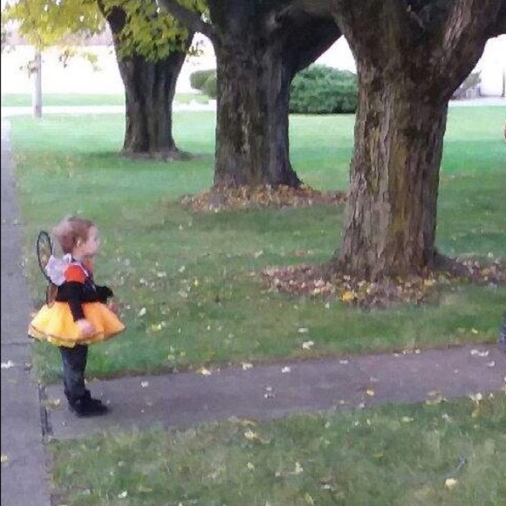 Butterfly costume